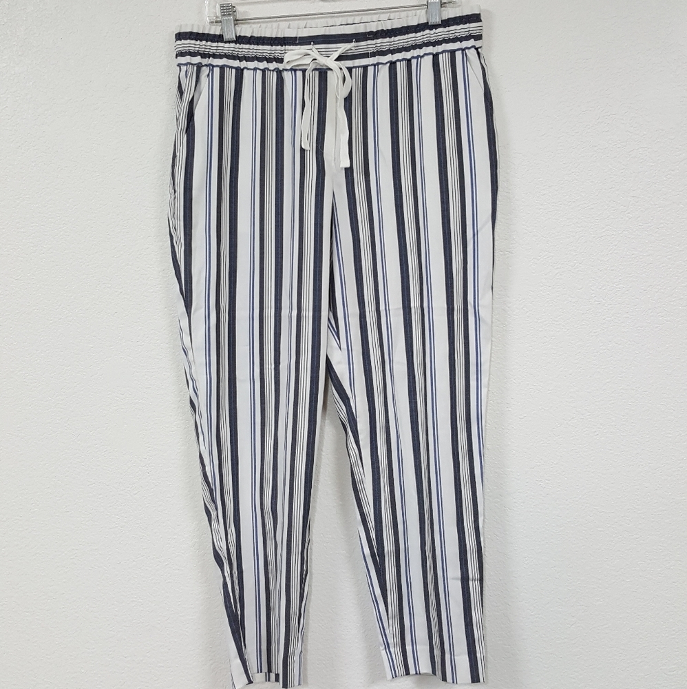 Ann Taylor Sz 10 NWT Rayon Crop Pants